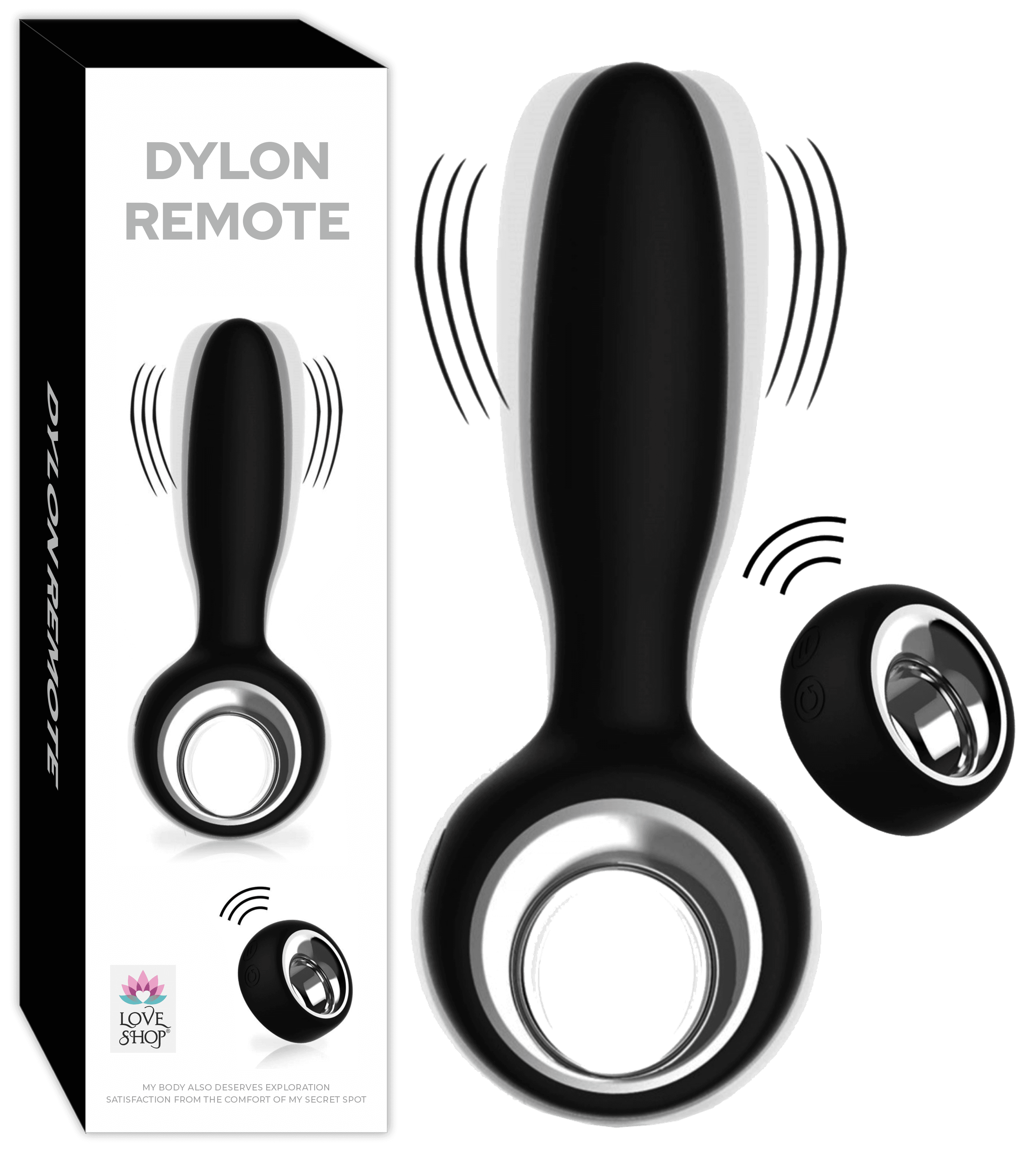 DYLON REMOTE